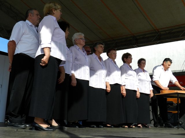 Megyei Közfoglalkoztatási Kiállítás 121